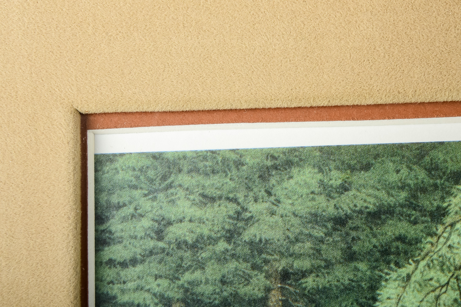 Bev Doolittle "The Forest Has Eyes" Limited Edition Print