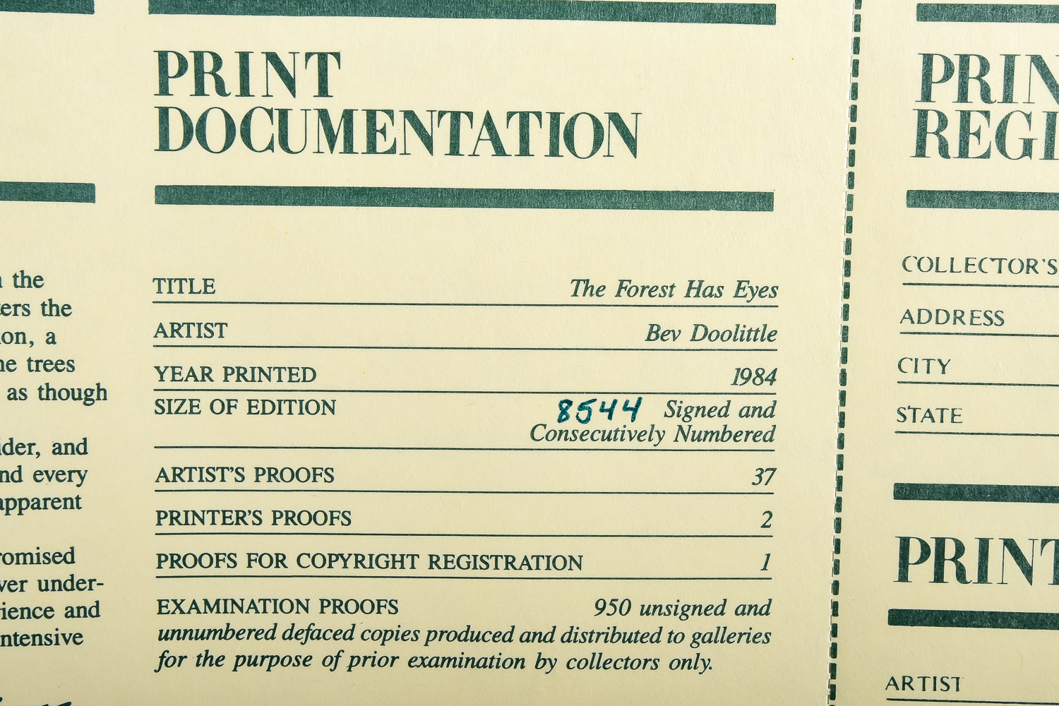 Bev Doolittle "The Forest Has Eyes" Limited Edition Print
