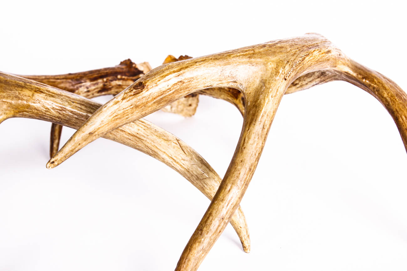 A Pair of Four Point Antlers