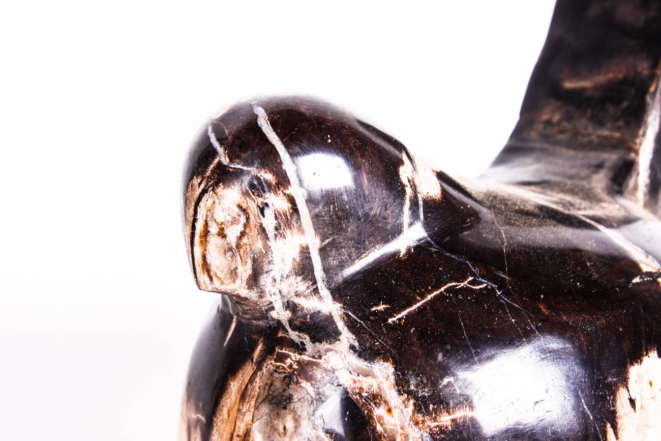 Carved Bird Sculpture out of Petrified Wood