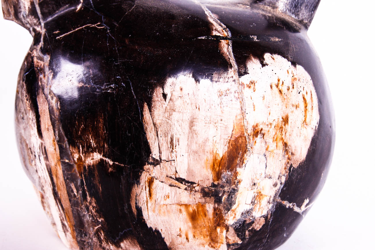 Carved Bird Sculpture out of Petrified Wood