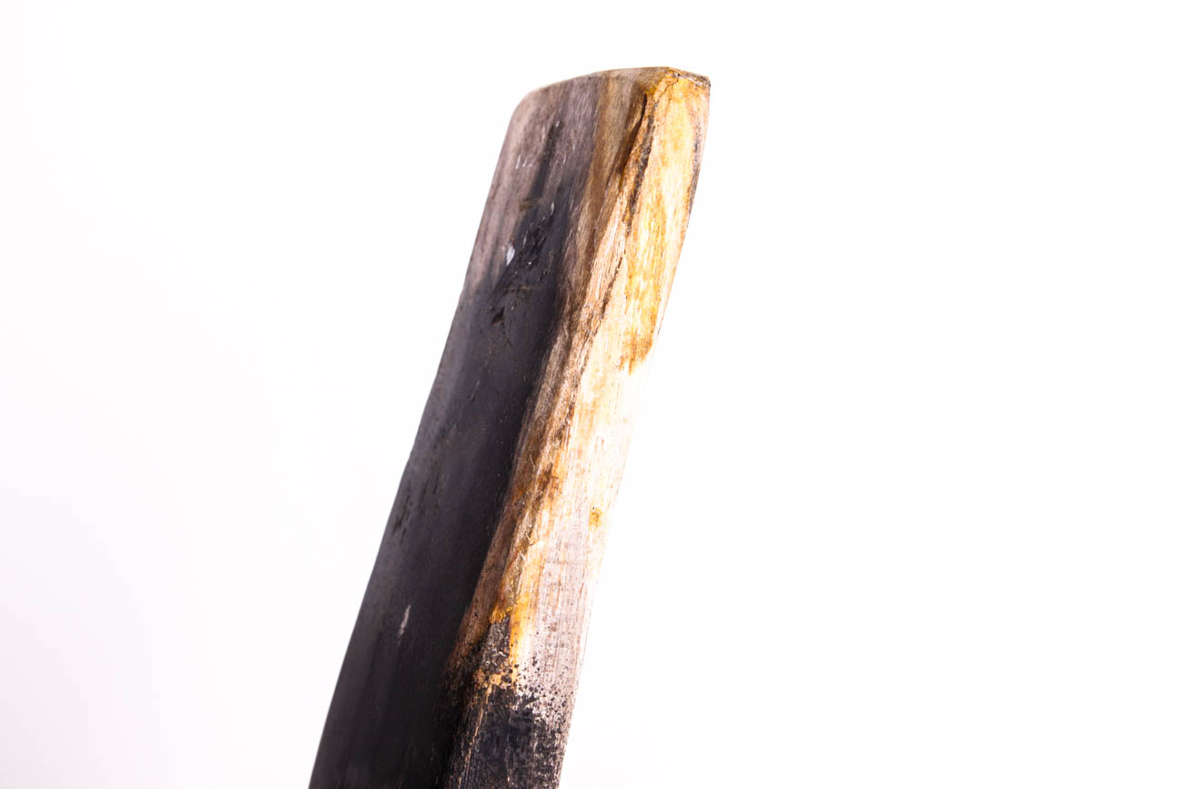 Carved Bird Sculpture out of Petrified Wood