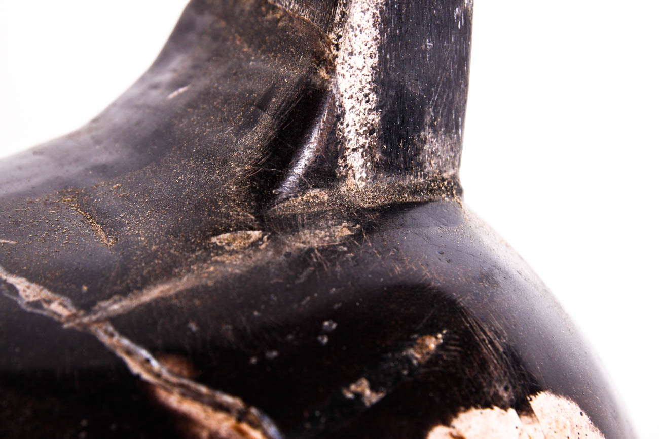Carved Bird Sculpture out of Petrified Wood