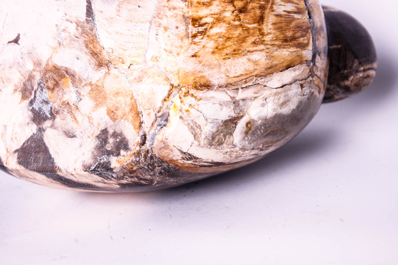 Carved Bird Sculpture out of Petrified Wood