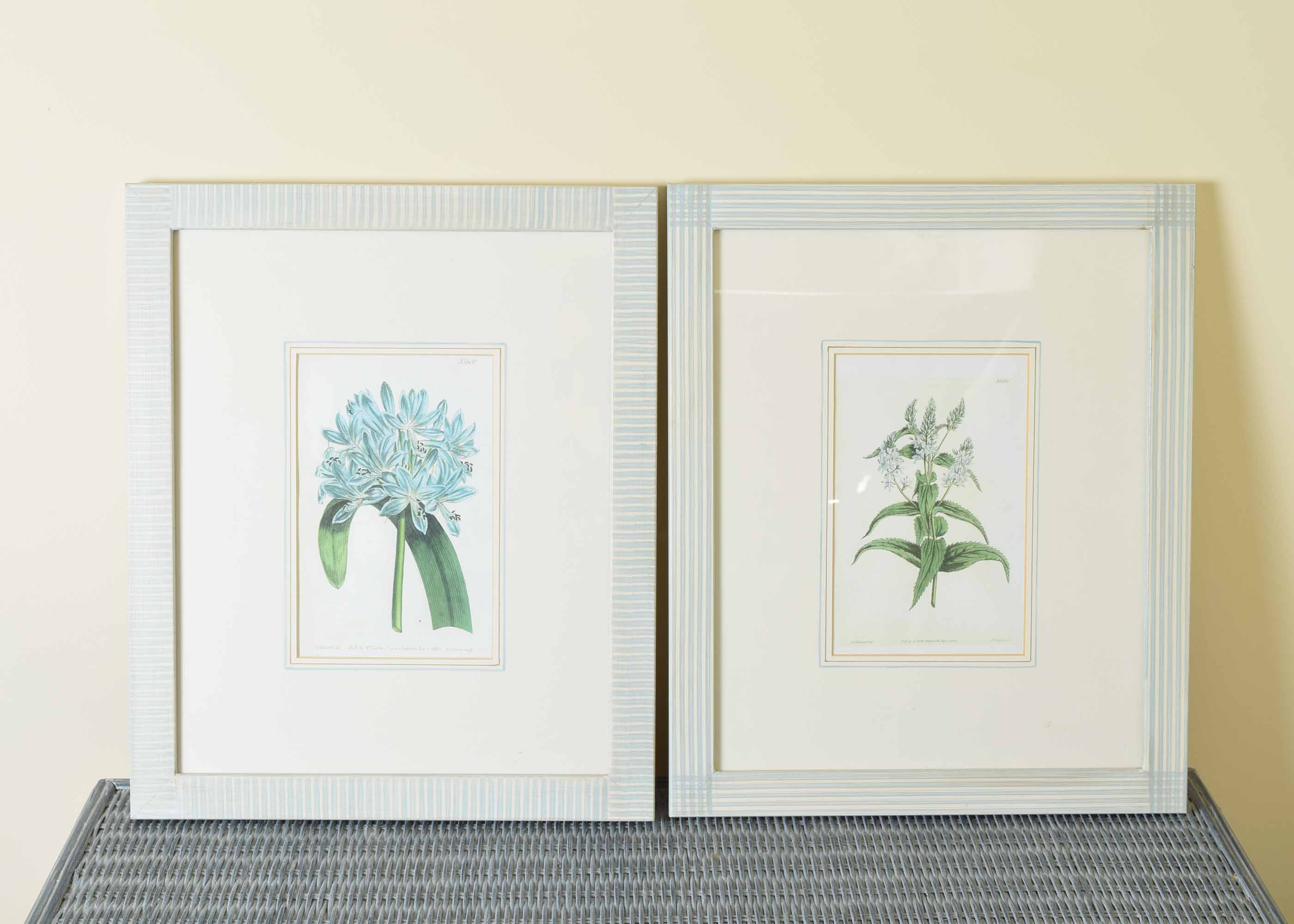 Pair of Offset Lithograph Floral Framed Prints
