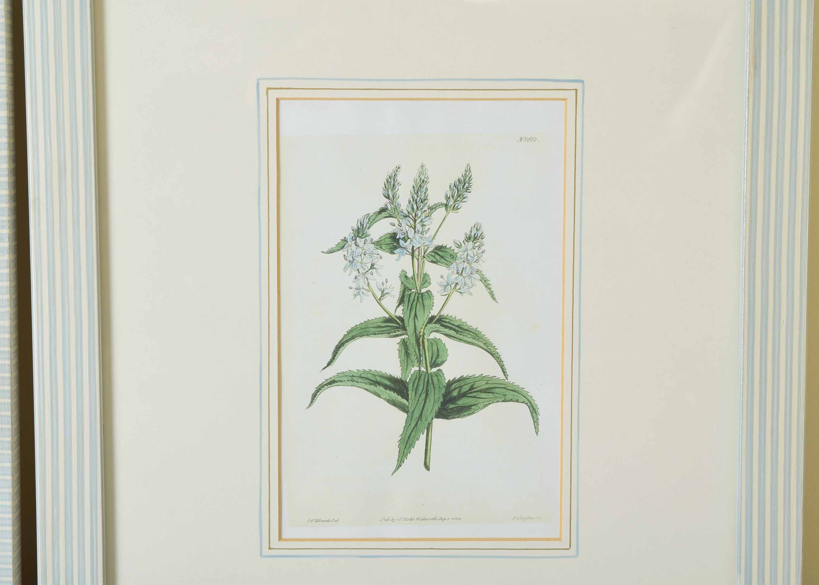 Pair of Offset Lithograph Floral Framed Prints