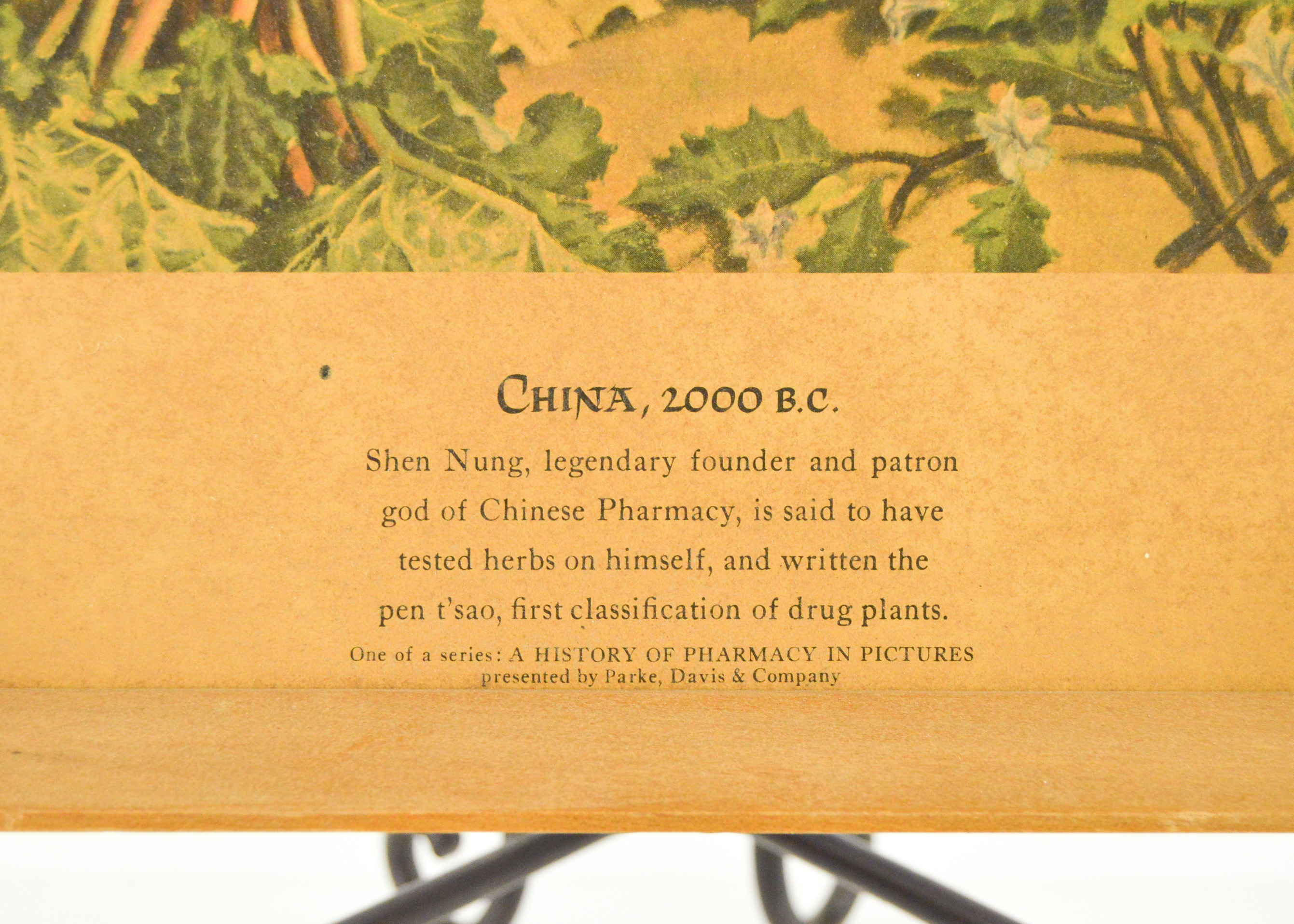 Offset Lithographs By Robert Thom History of Pharmacy In Pictures