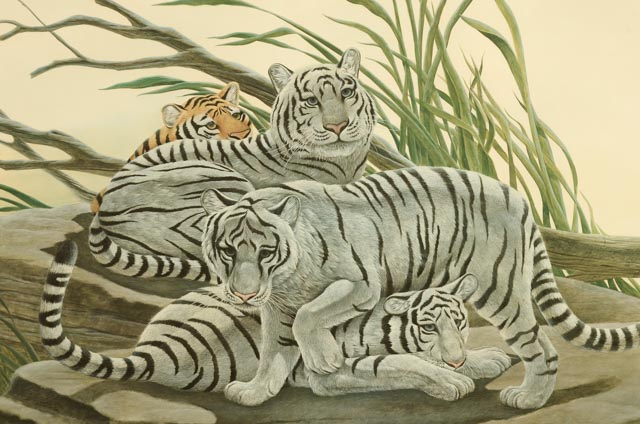 Signed and Numbered John Ruthven "White Tiger" Limited Edition Print