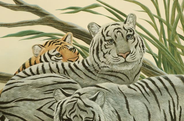 Signed and Numbered John Ruthven "White Tiger" Limited Edition Print