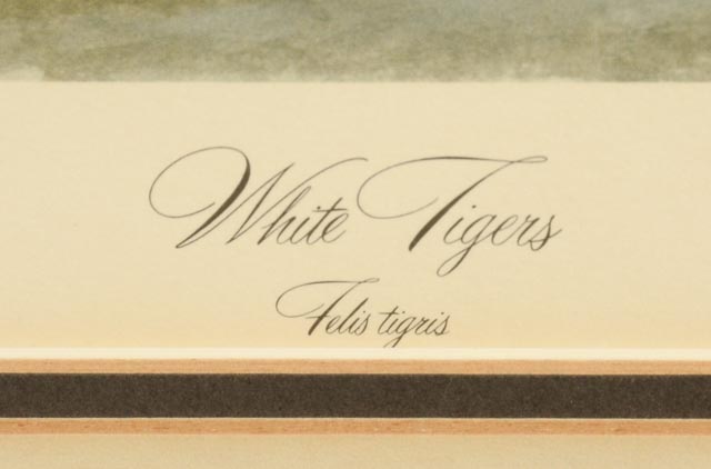 Signed and Numbered John Ruthven "White Tiger" Limited Edition Print