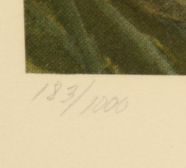 Signed and Numbered John Ruthven "White Tiger" Limited Edition Print