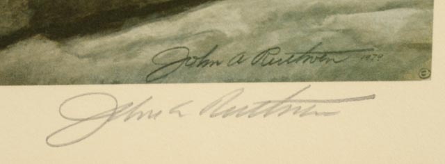 Signed and Numbered John Ruthven "White Tiger" Limited Edition Print