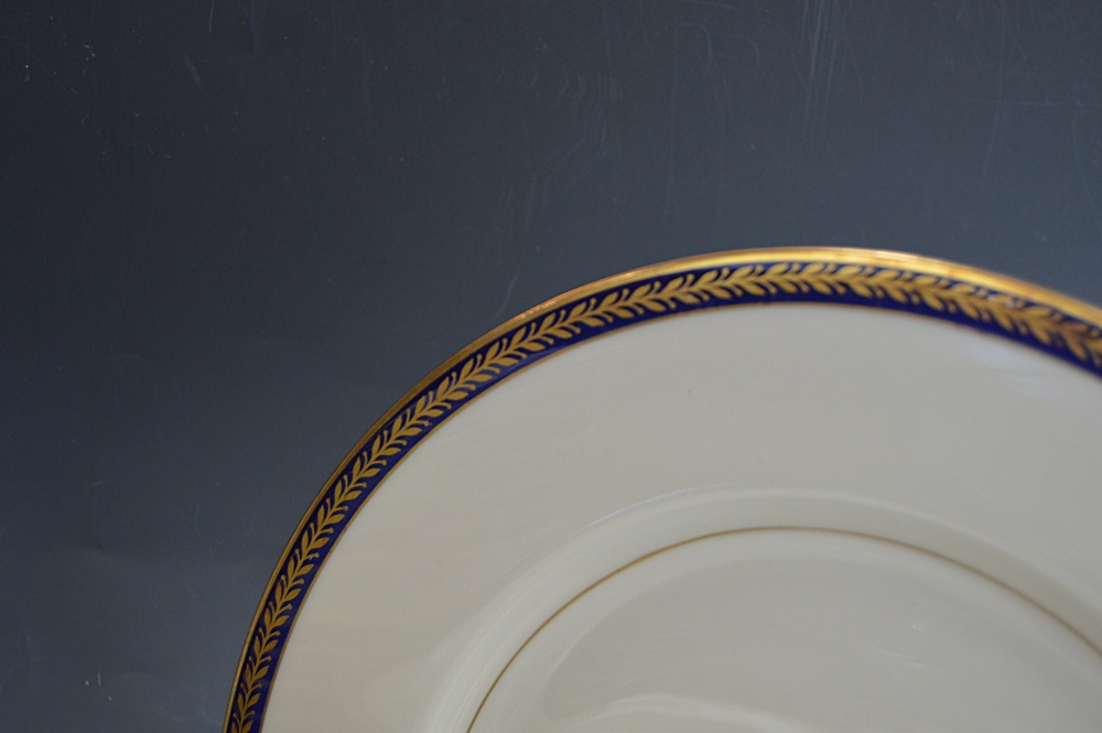 Set of Theodore Haviland "Lauria" China Tableware