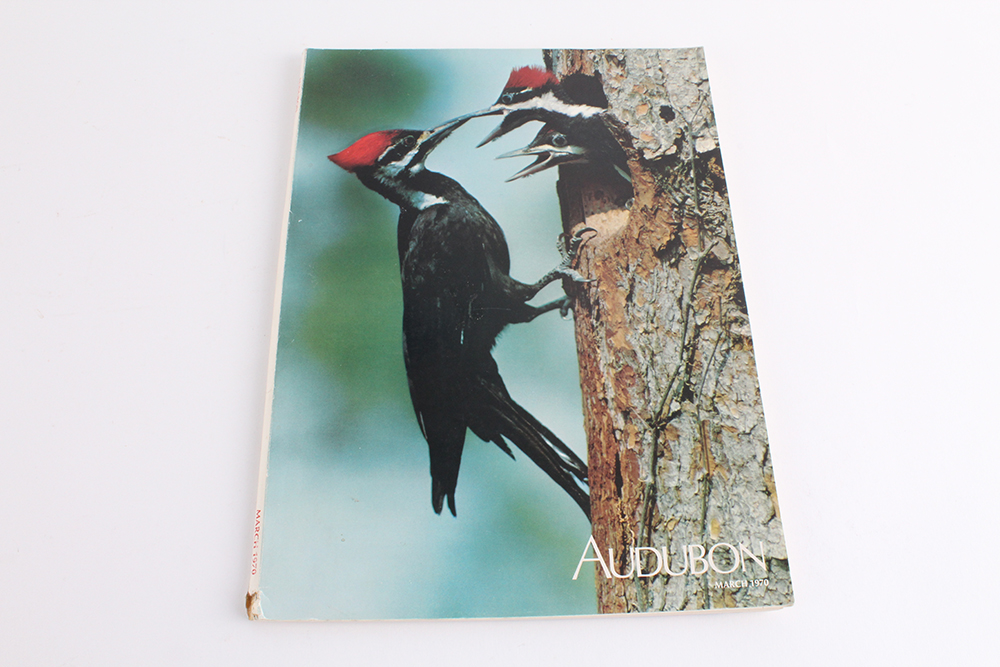 Collection of Vintage Magazines