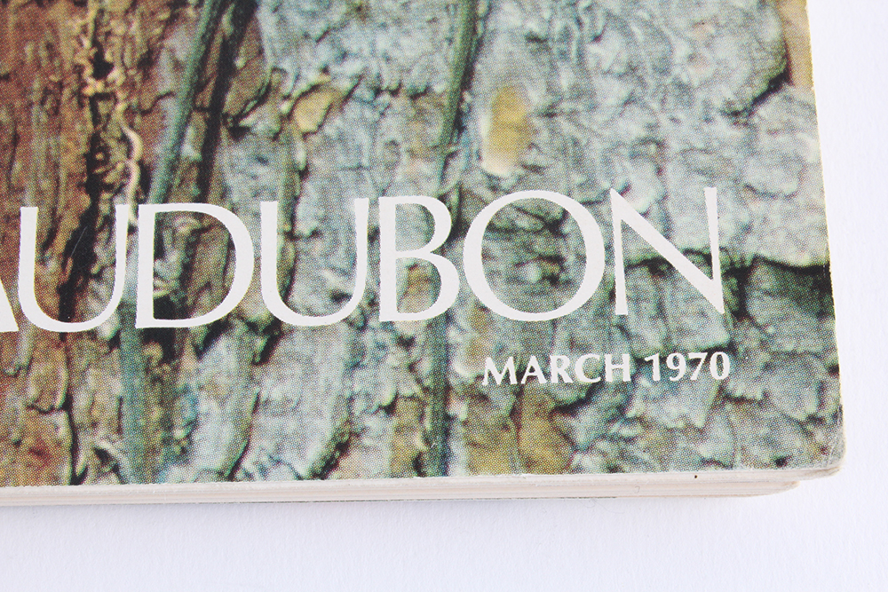 Collection of Vintage Magazines