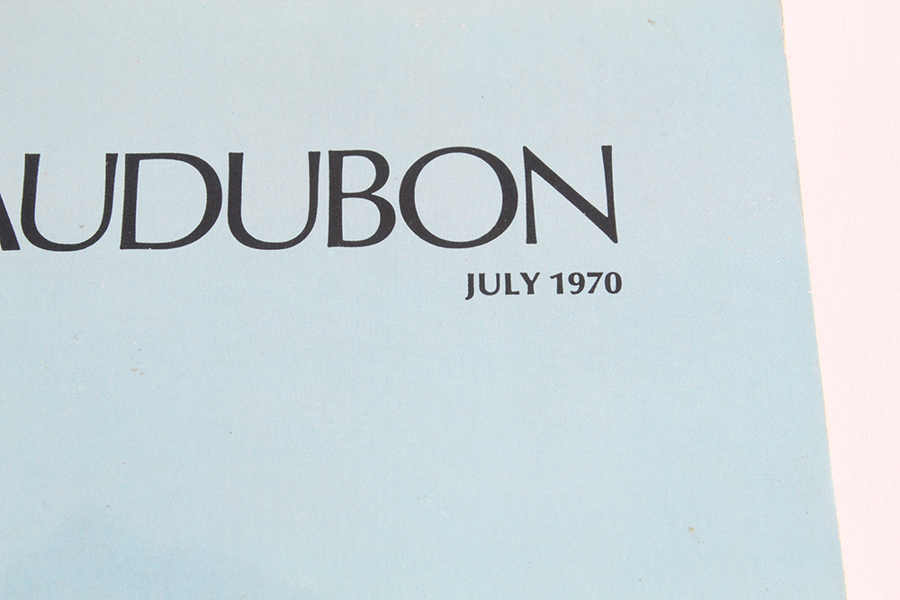 Collection of Vintage Magazines