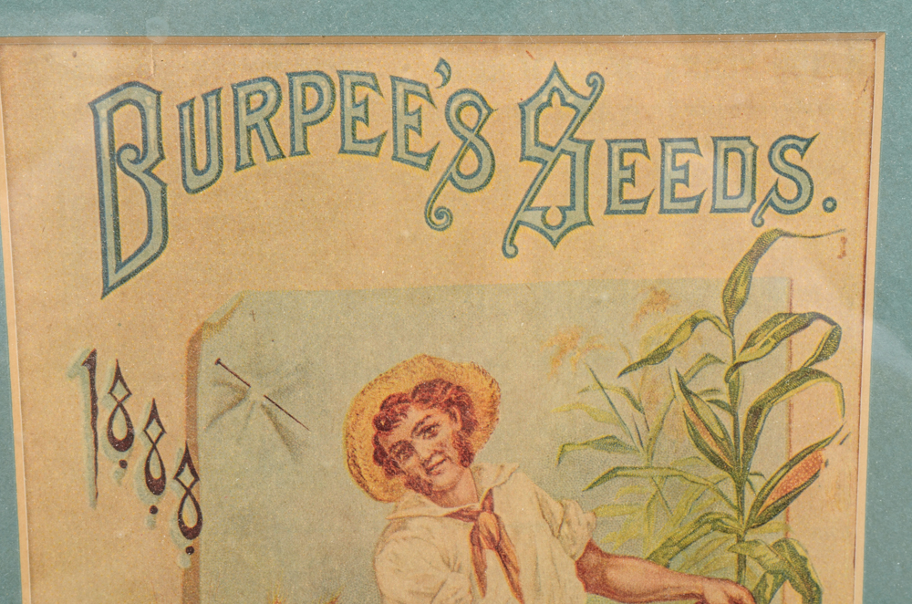 Collection of Framed and Unframed Artwork