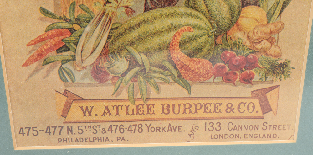 Collection of Framed and Unframed Artwork