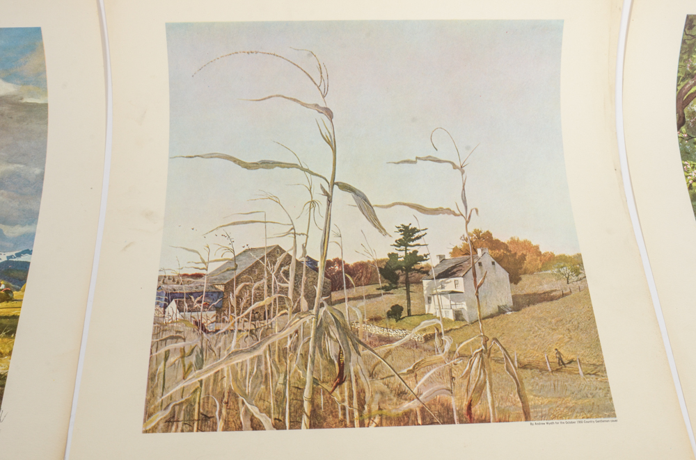 Collection of Framed and Unframed Artwork