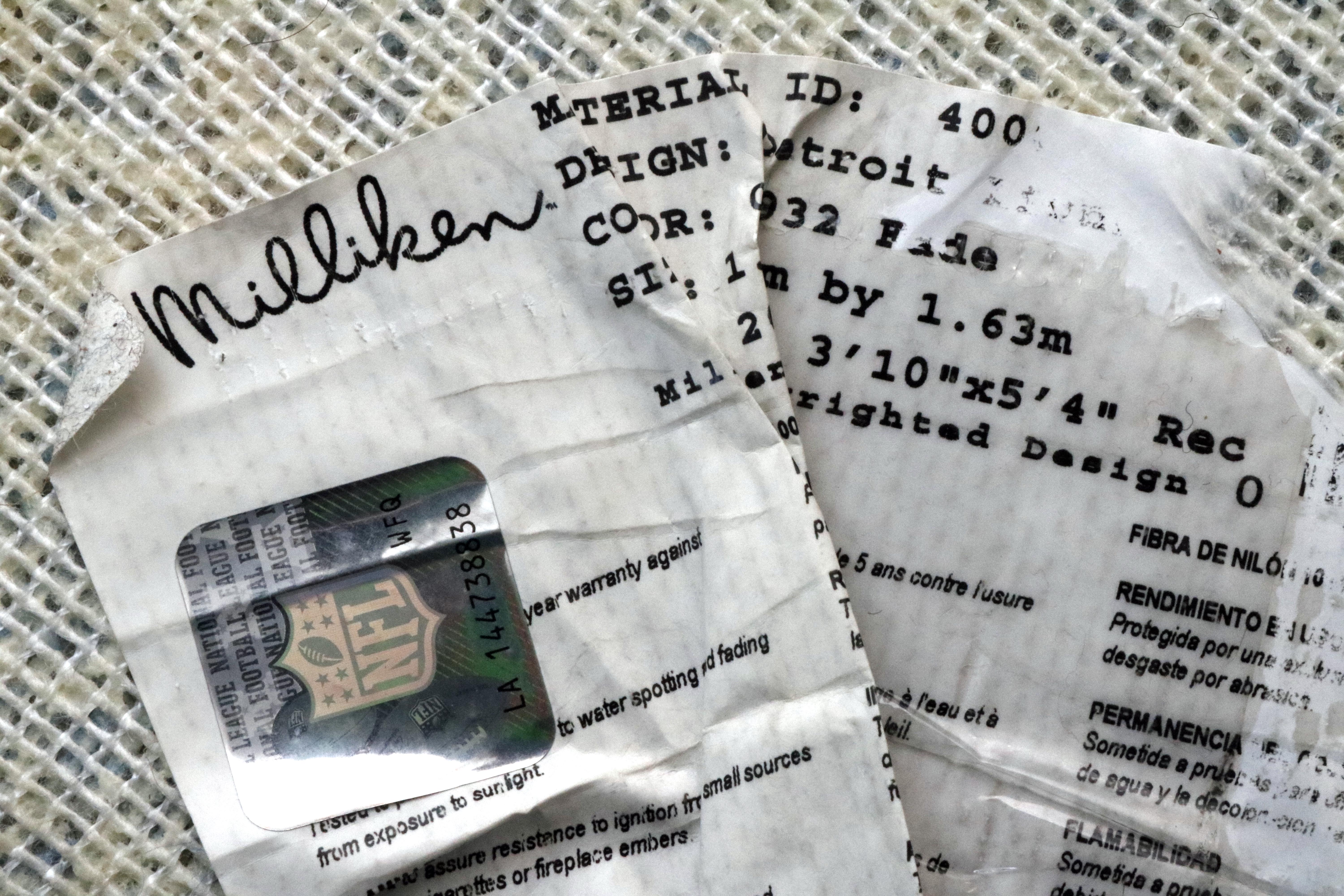 Detroit Lions Area Rug and Door Mat