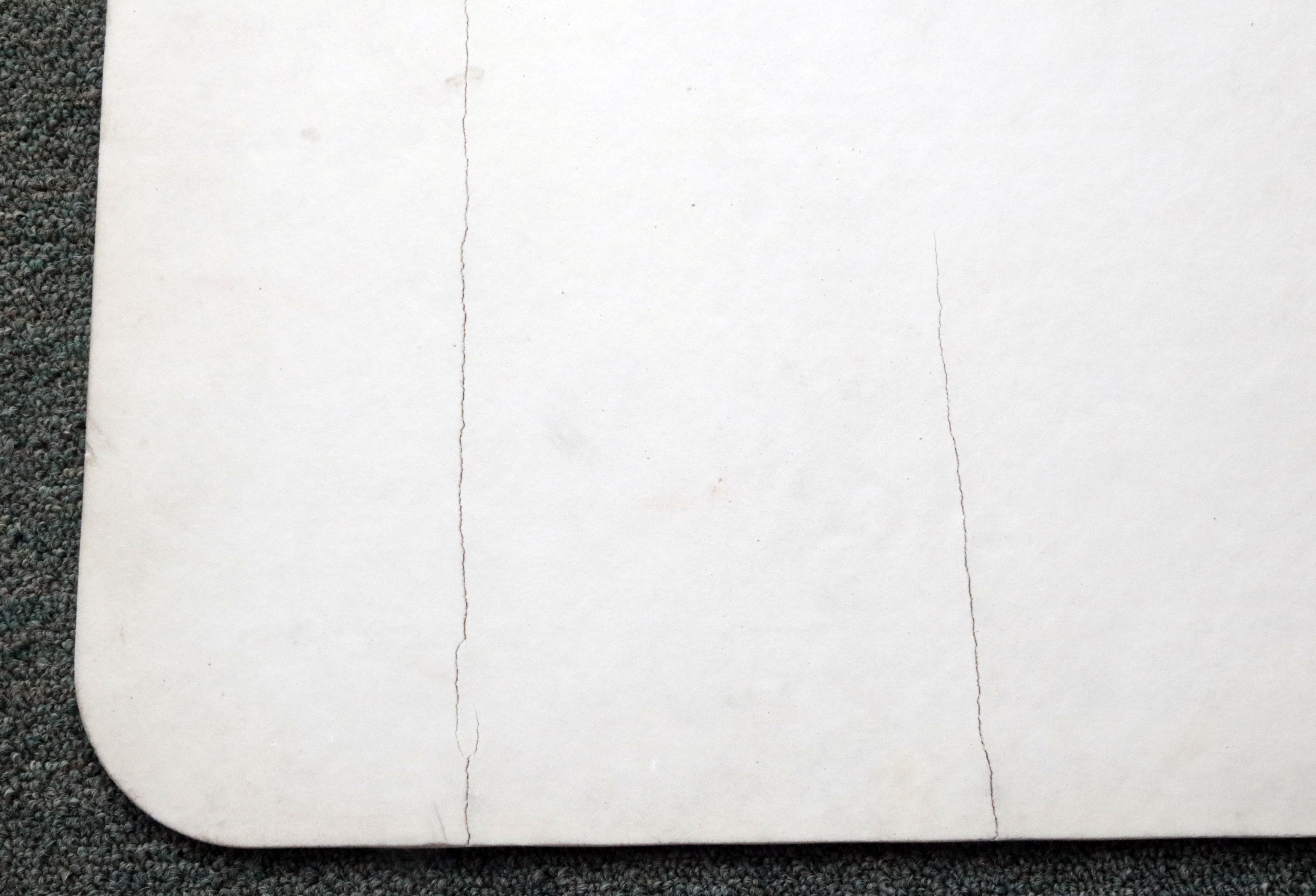 Detroit Lions Area Rug and Door Mat