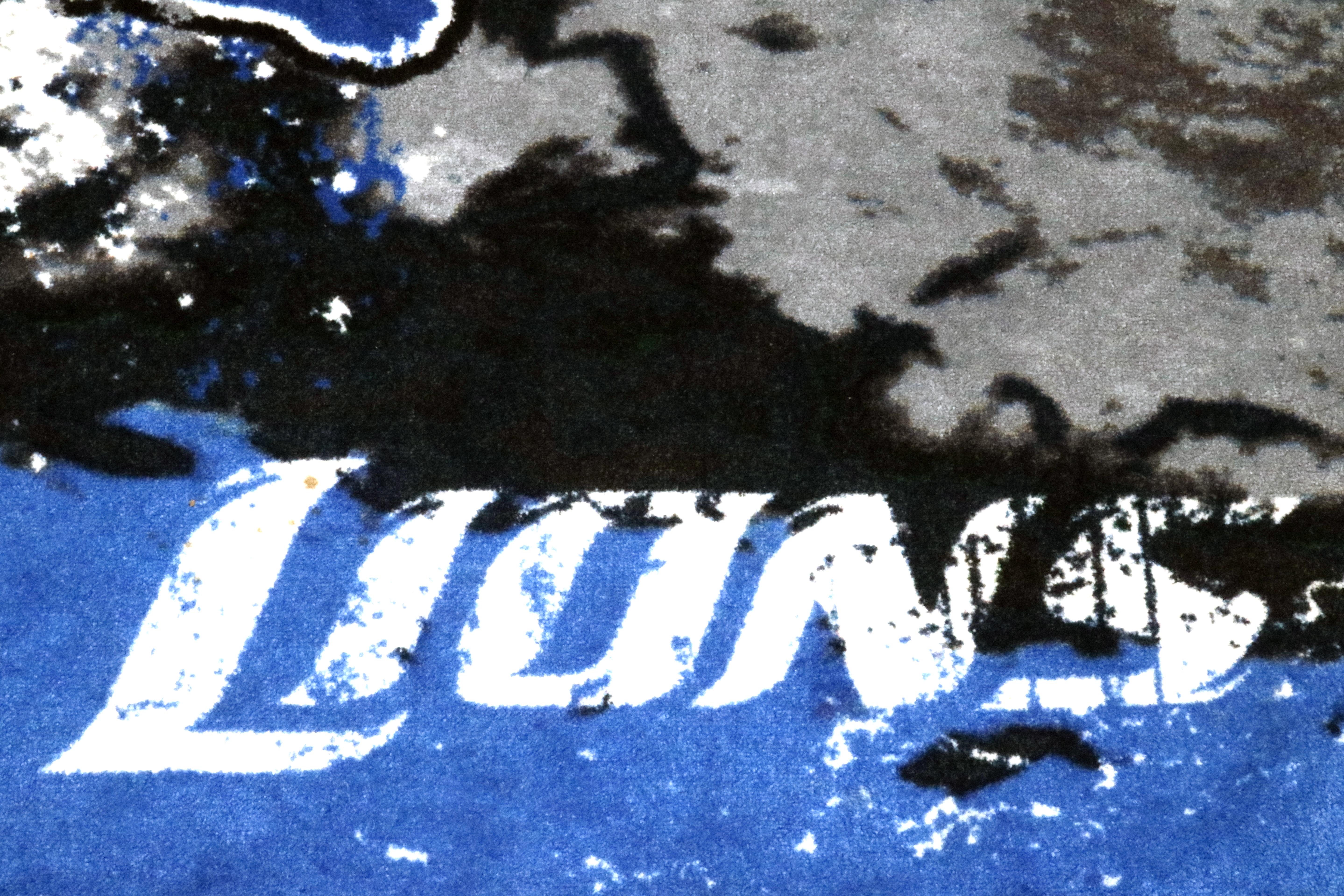 Detroit Lions Area Rug and Door Mat