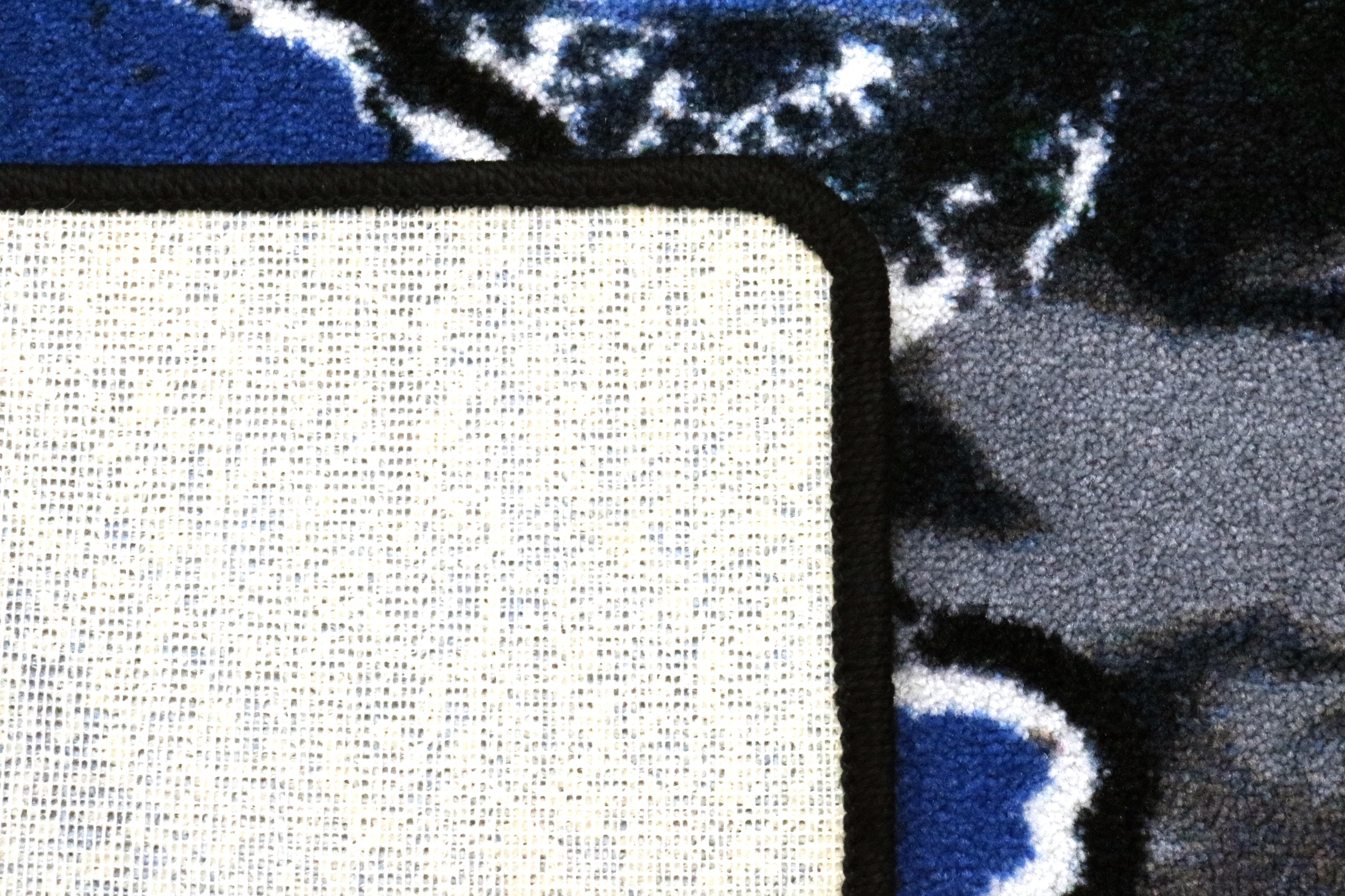 Detroit Lions Area Rug and Door Mat