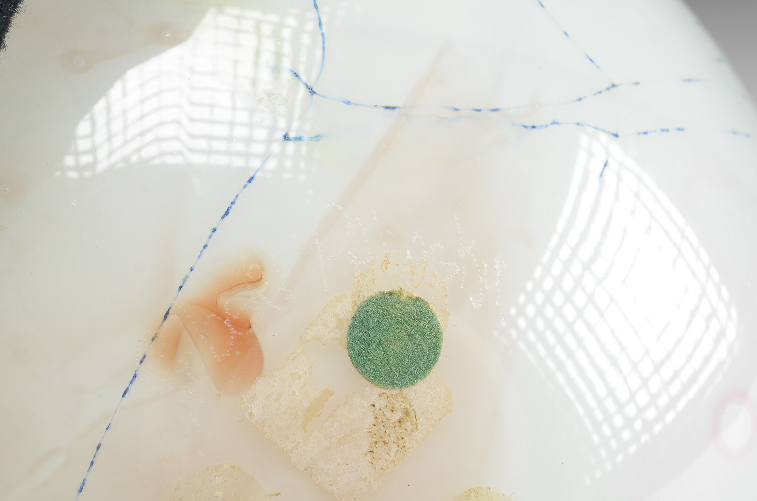 Signed Robert Palusky Blown Glass Orb