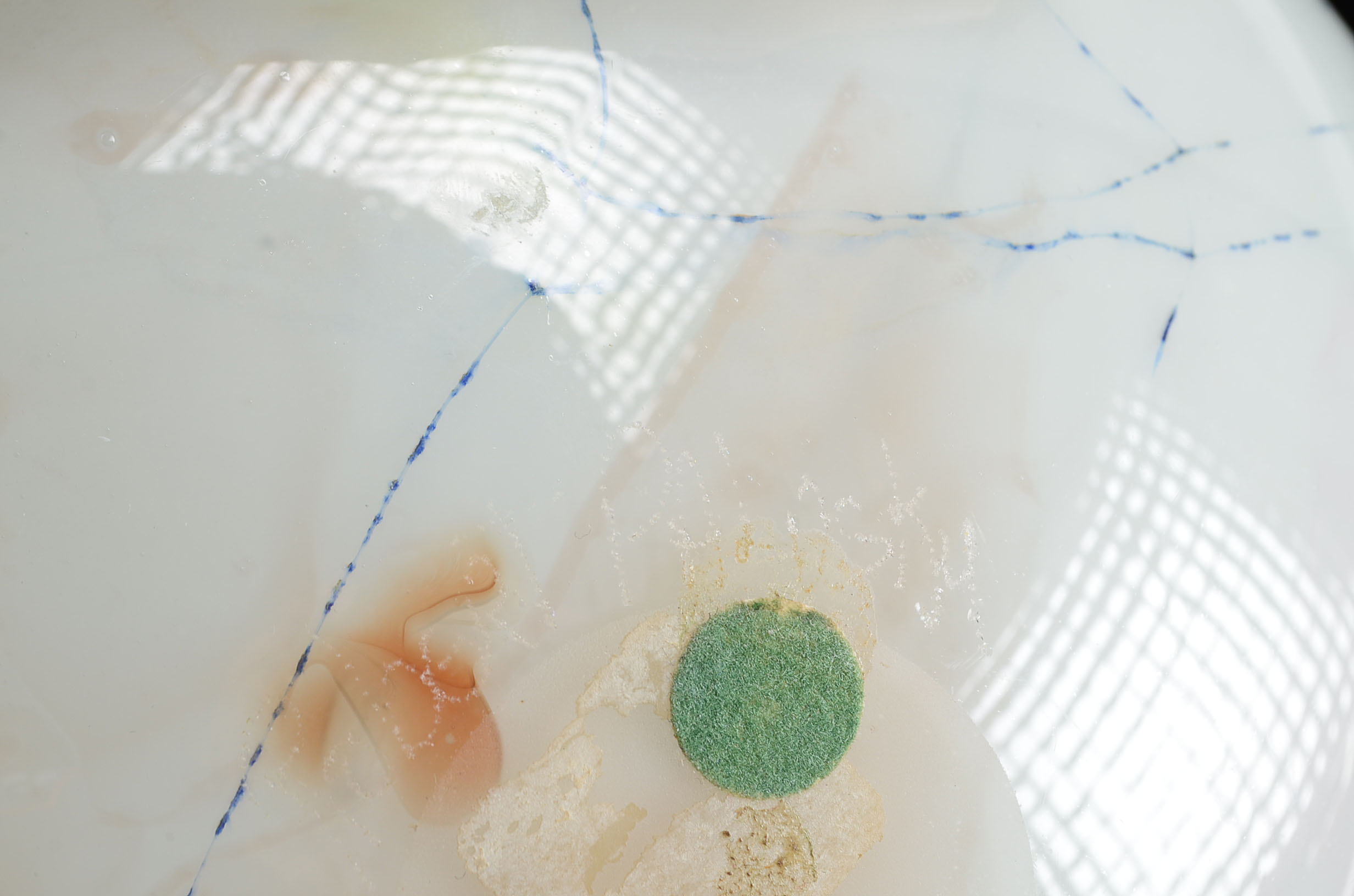 Signed Robert Palusky Blown Glass Orb