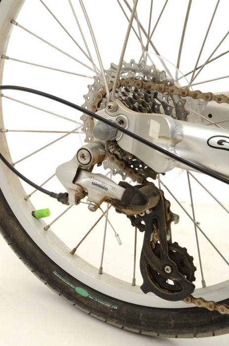 Giant Revive Bicycle