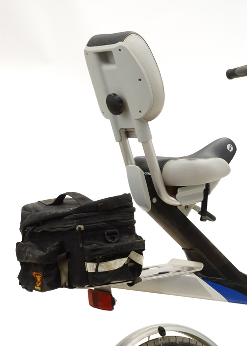 Giant Revive Bicycle