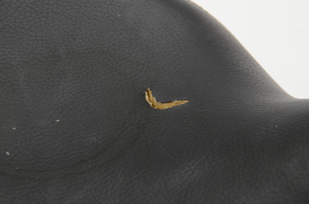 Giant Revive Bicycle