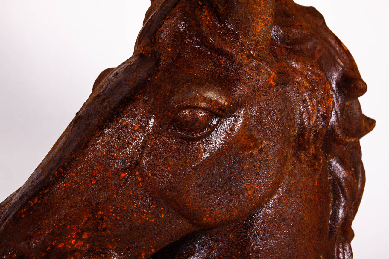 Weathered Cast Iron Horse Head Statue