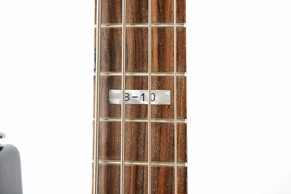 ESP B-10 Electric Bass Guitar