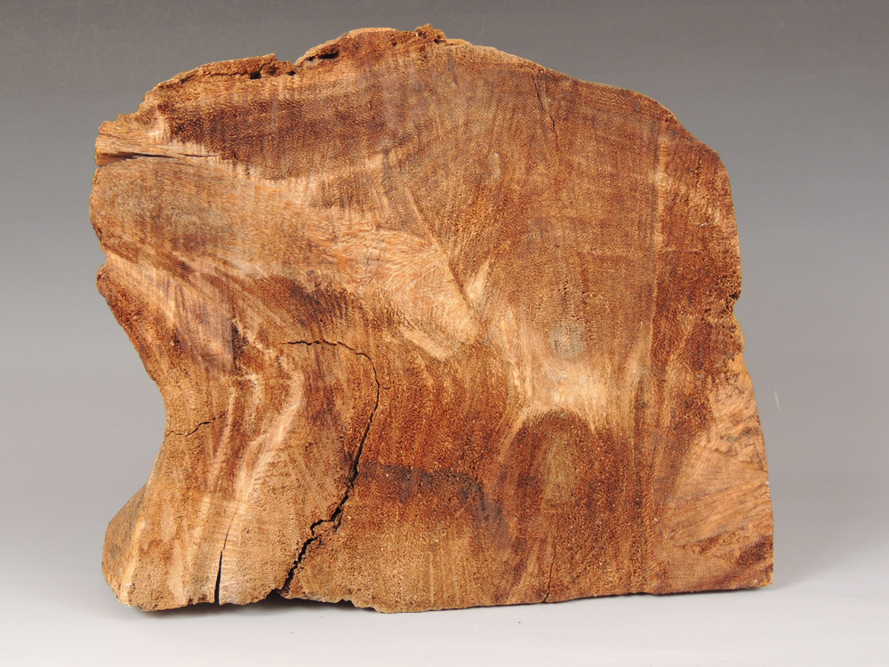 Signed Bruce Turnbull Driftwood Sculptures