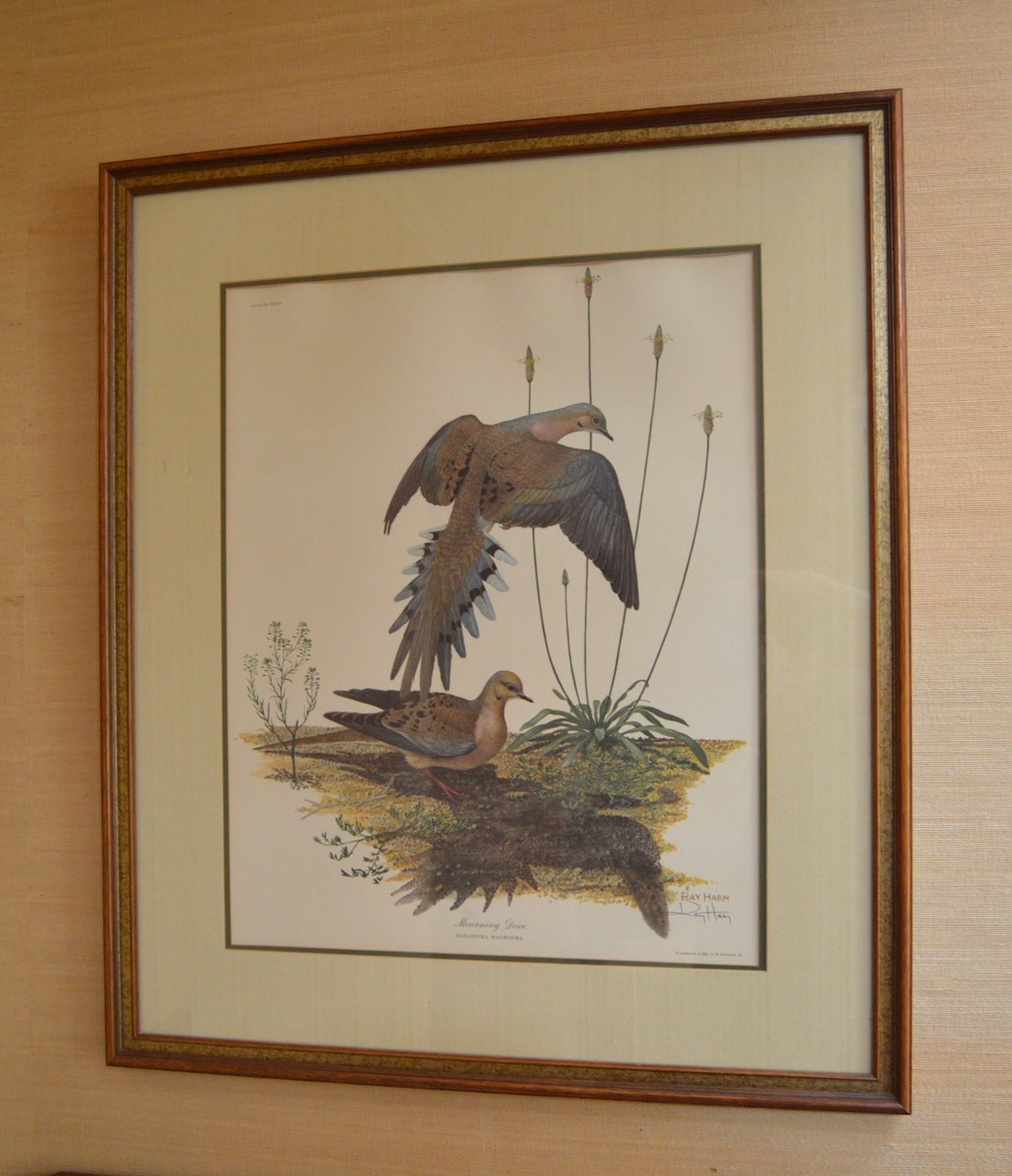 Ray Harm "Mourning Dove" Signed Wildlife Print