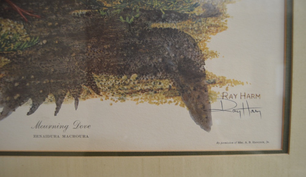 Ray Harm "Mourning Dove" Signed Wildlife Print