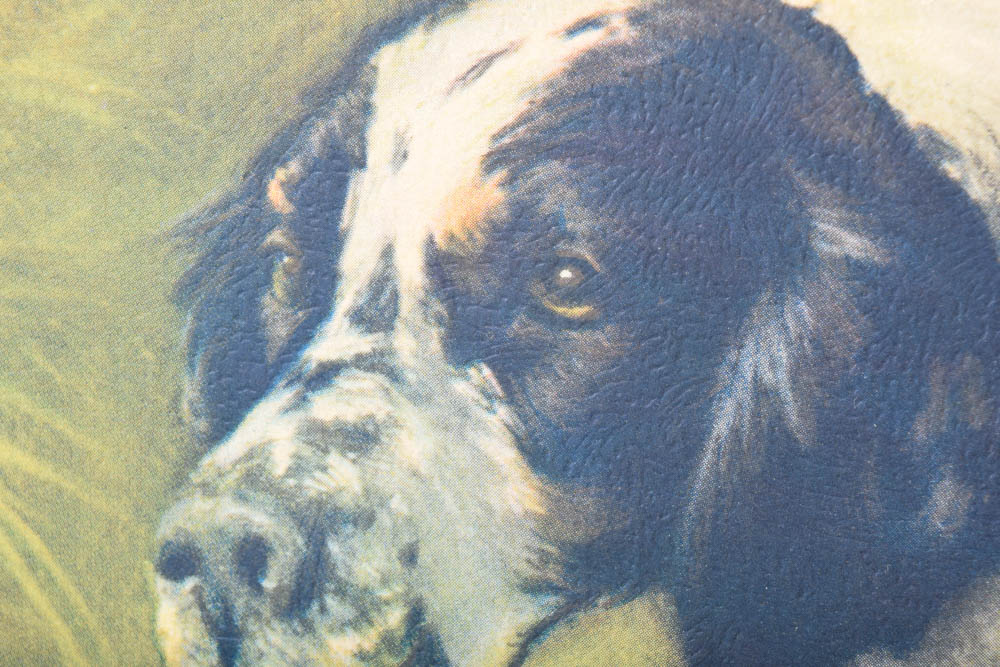 Gustav Muss Arnolt Offset Lithograph Reproduction