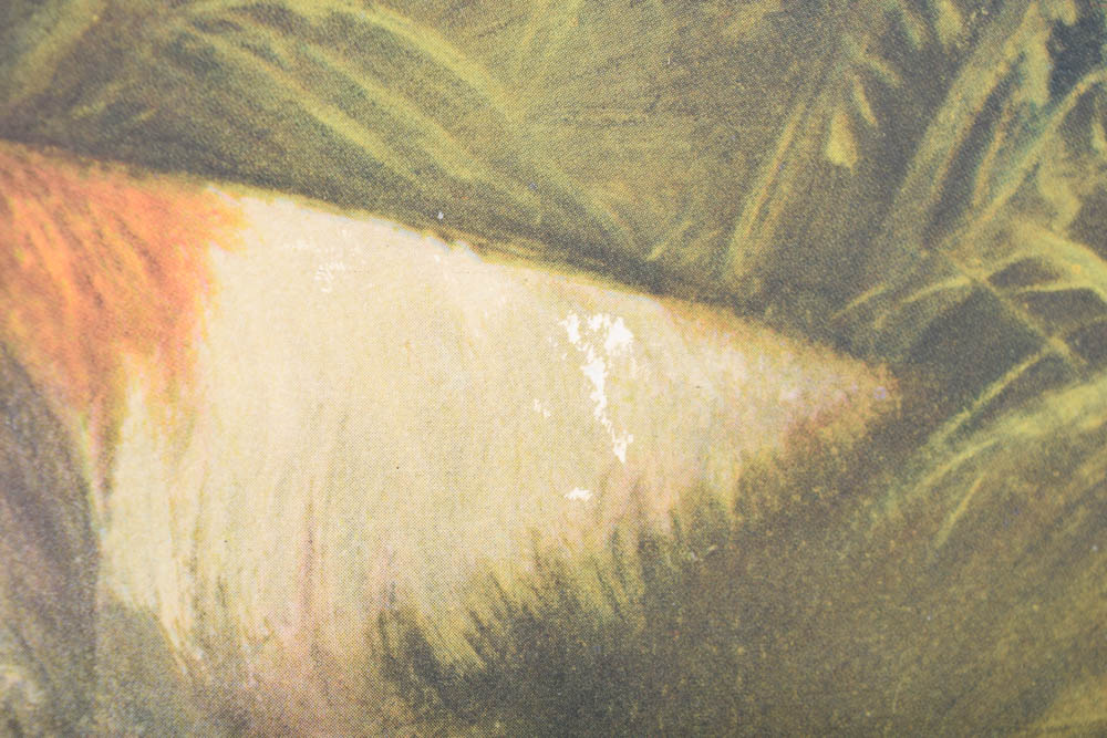 Gustav Muss Arnolt Offset Lithograph Reproduction