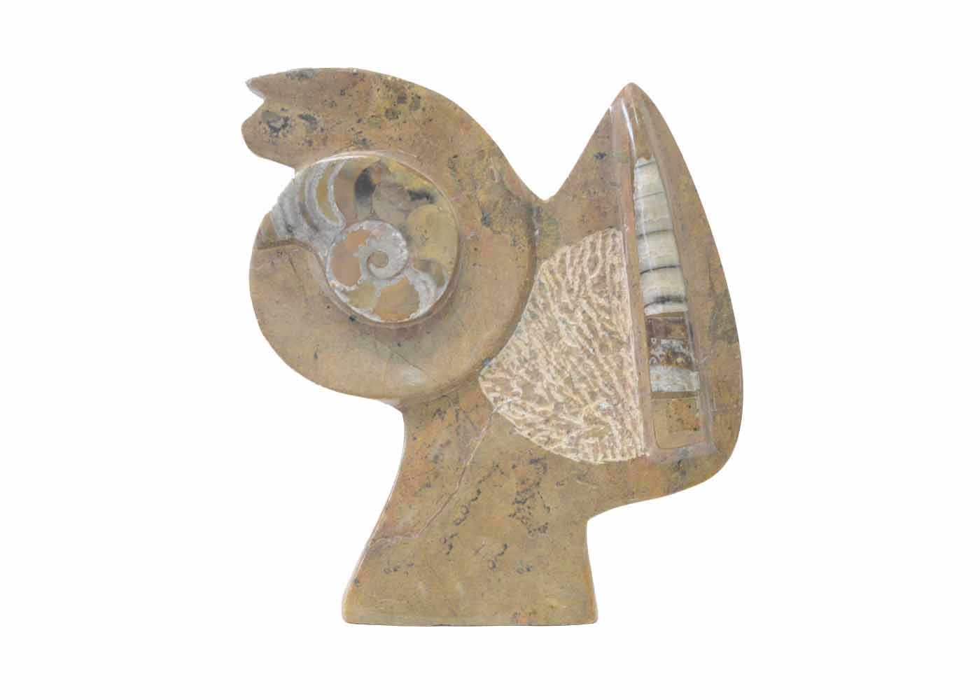 Fossil Sculpture