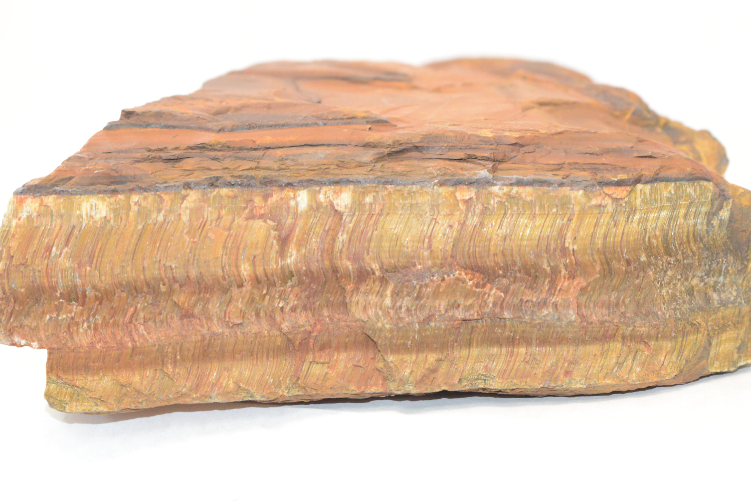 13.6 Pound Rough Tiger's Eye Collection