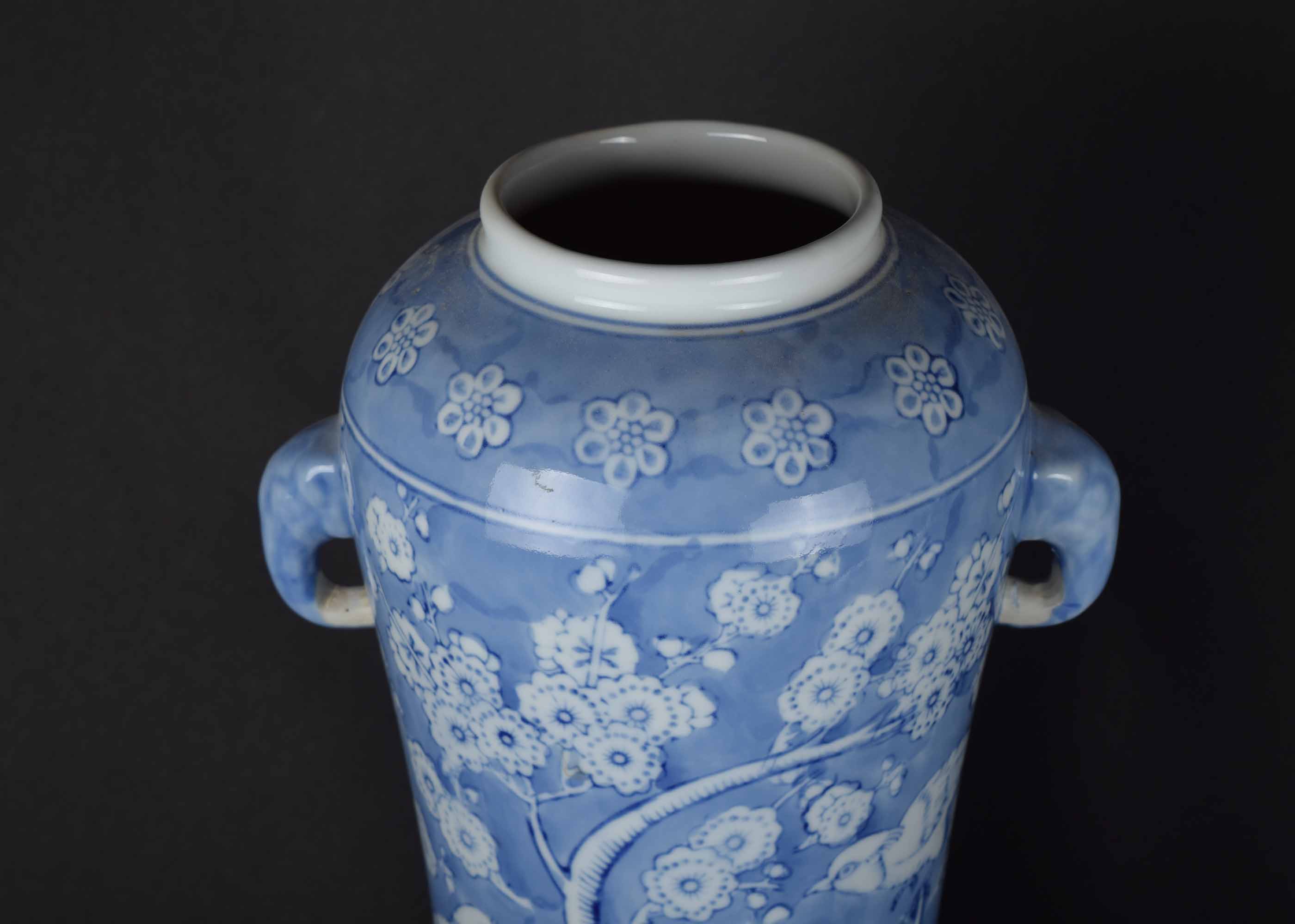 Blue and White Asian Jar Collection