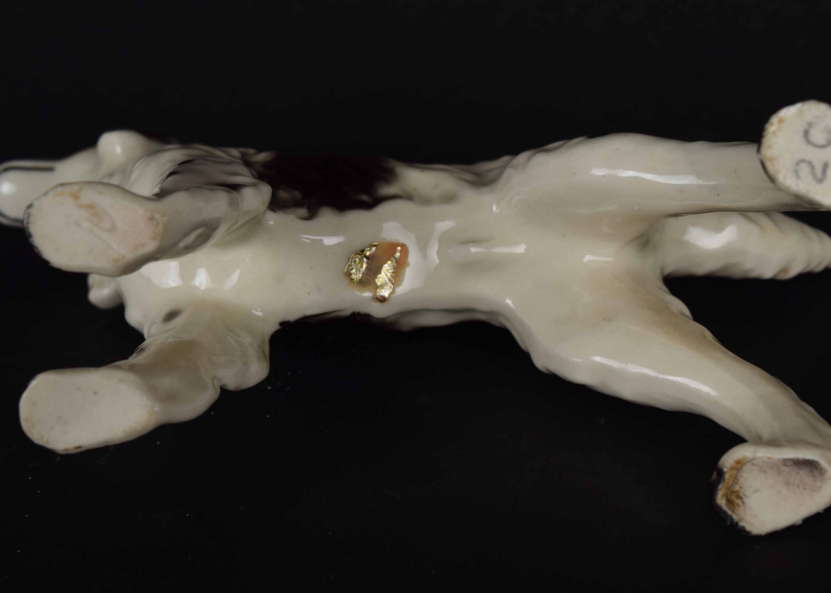 Porcelain Dog Figurine Collection