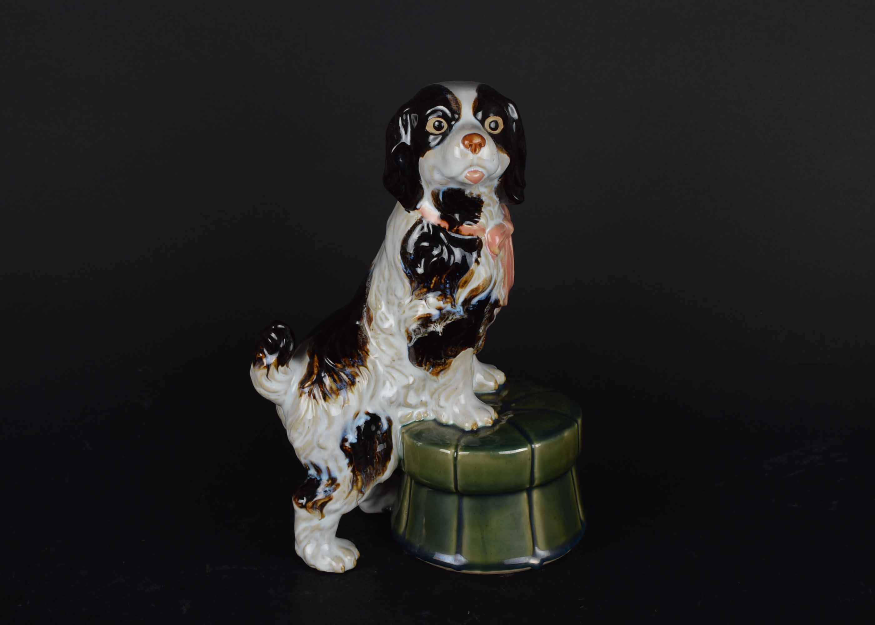Chinese Spaniel on Green Stool