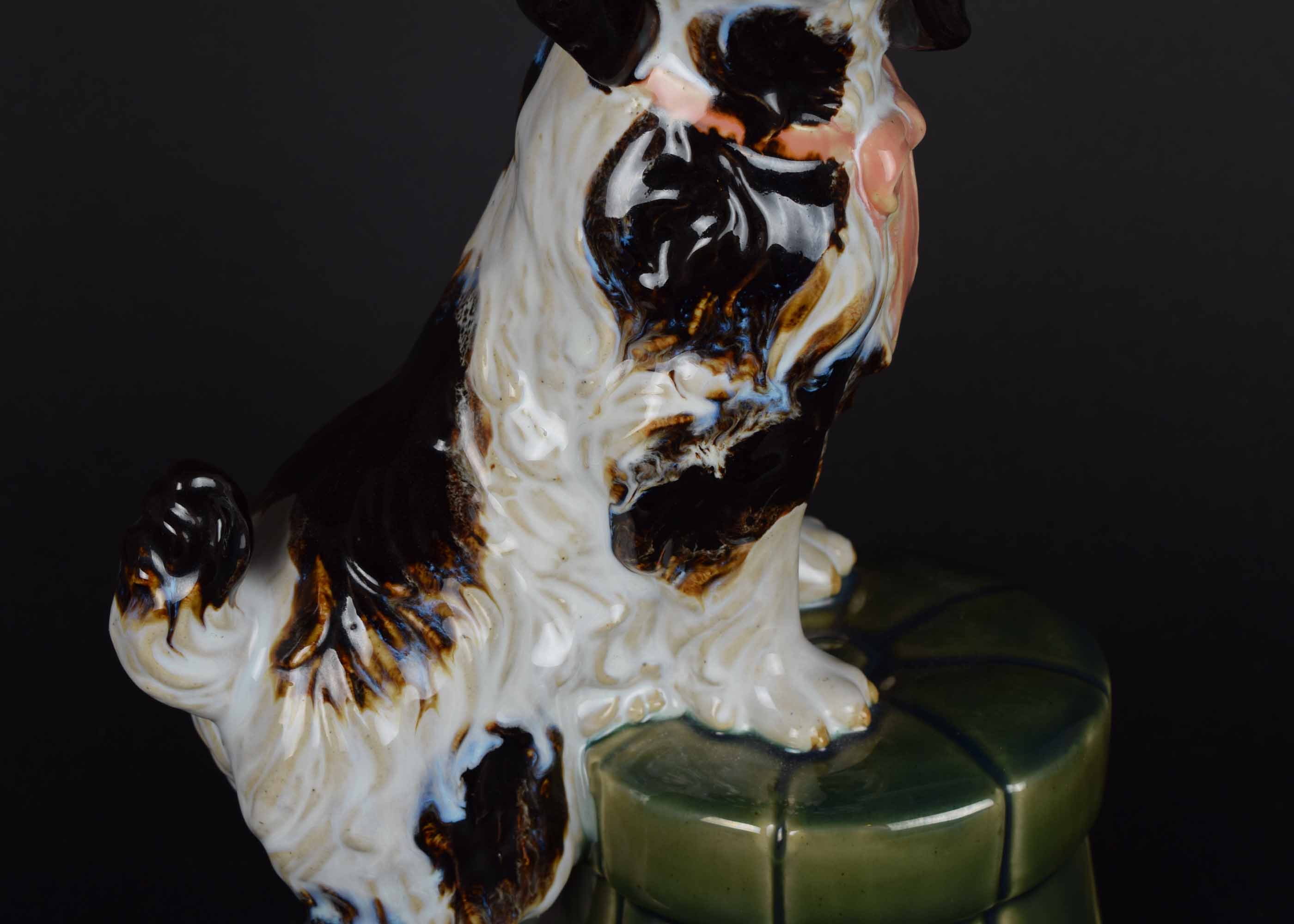 Chinese Spaniel on Green Stool
