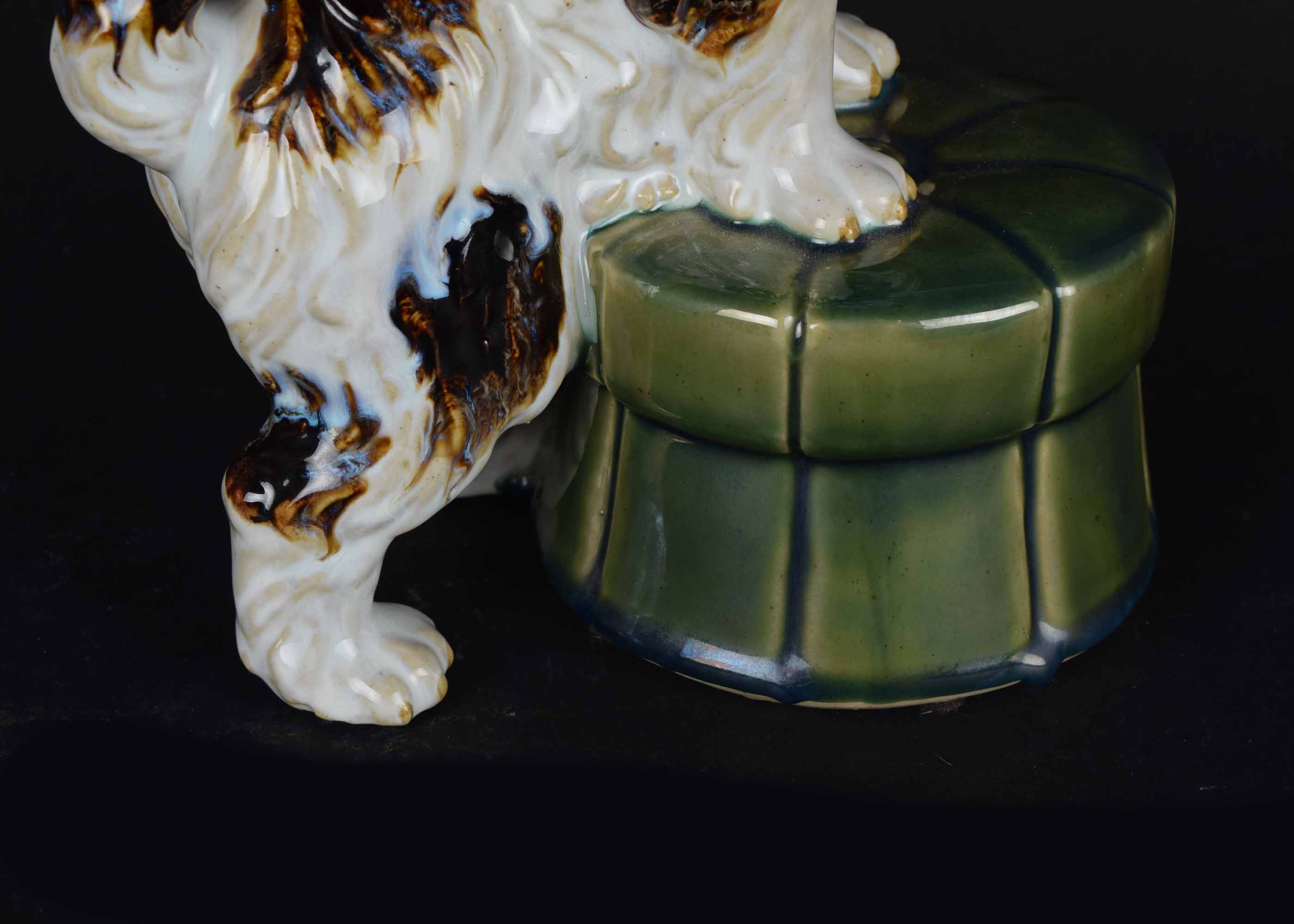 Chinese Spaniel on Green Stool