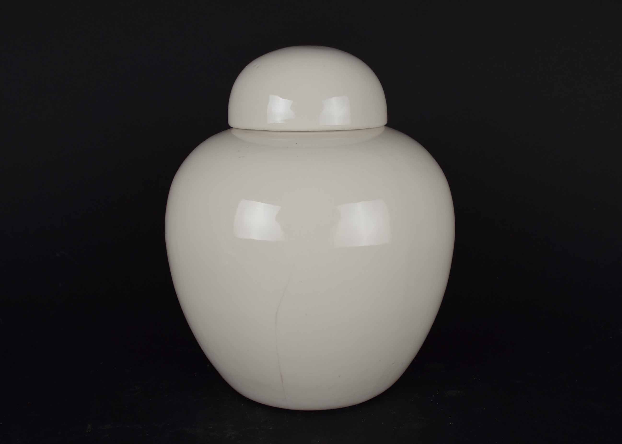 White Vase Collection