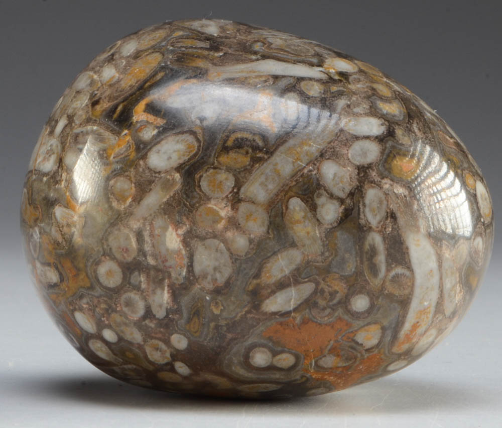 Assorted Mineral Specimens