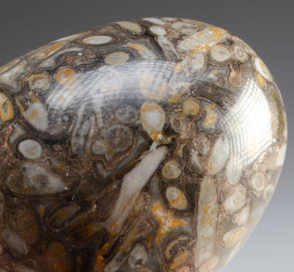 Assorted Mineral Specimens