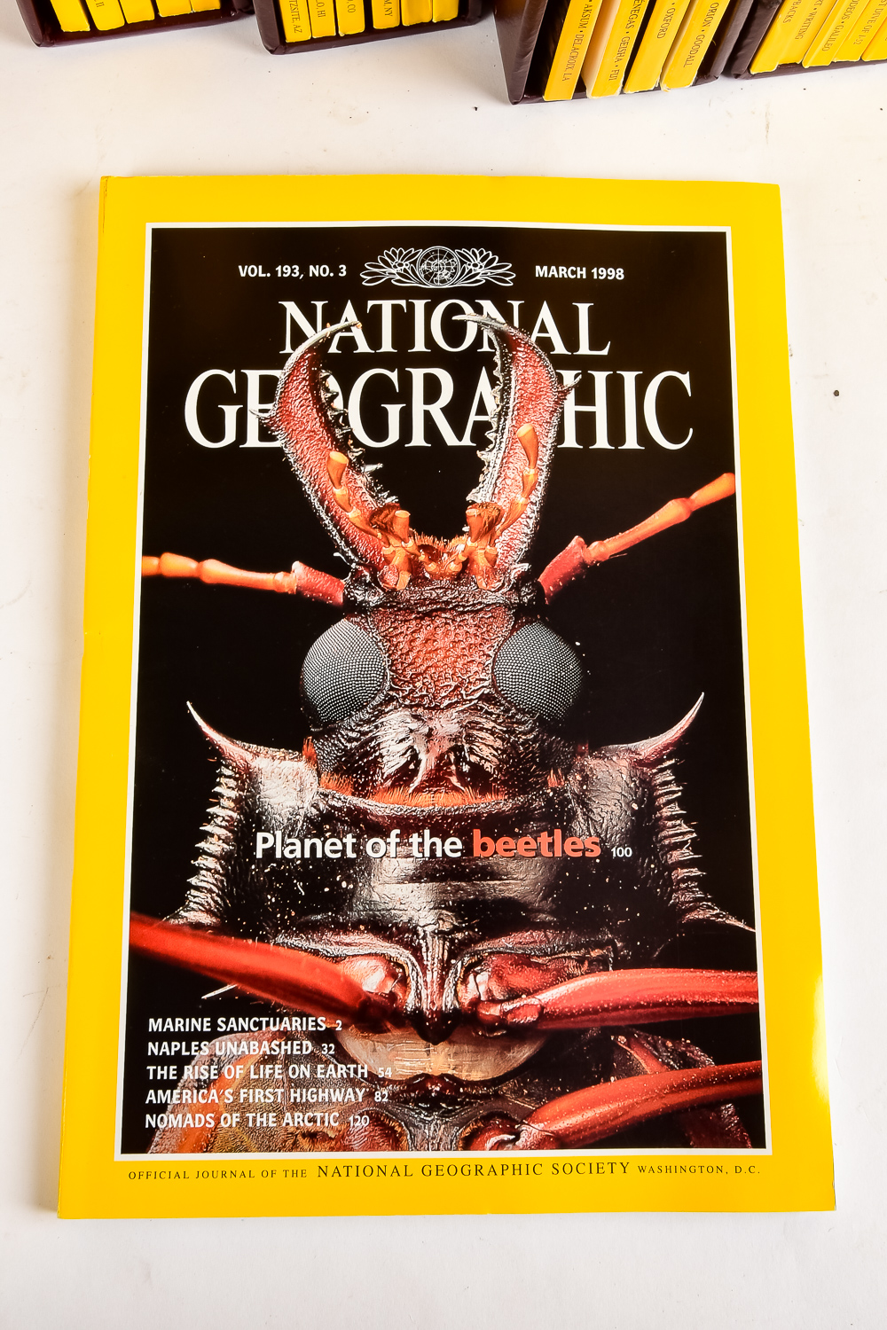 National Geographic Magazine Collection with Slipcases